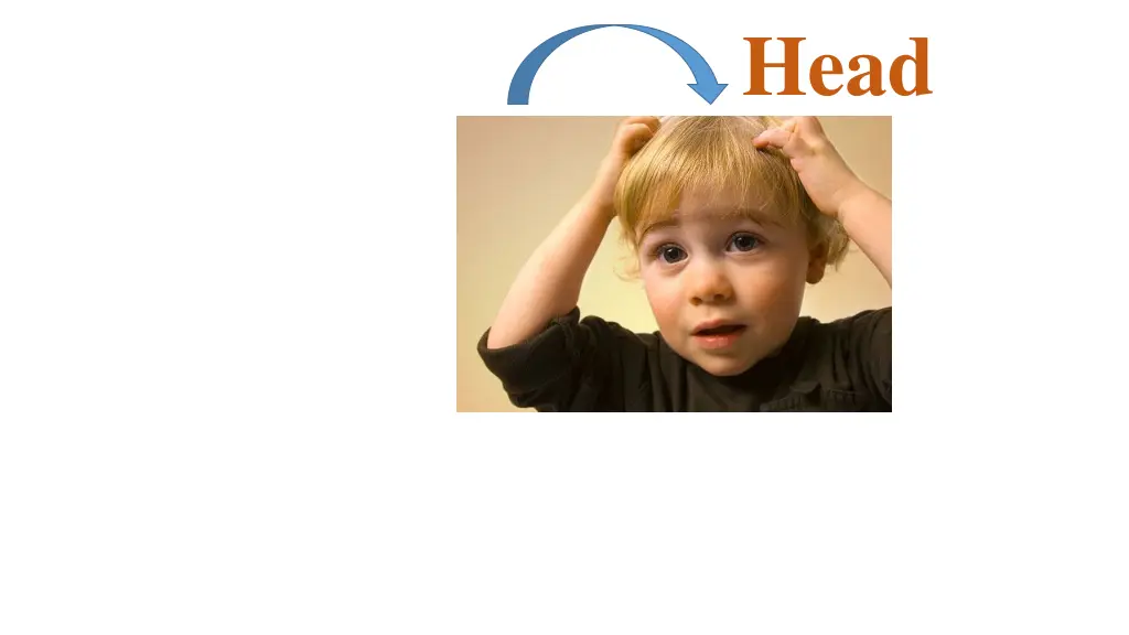 slide7