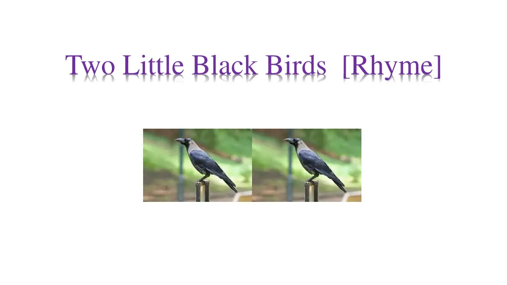 two little black birds rhyme