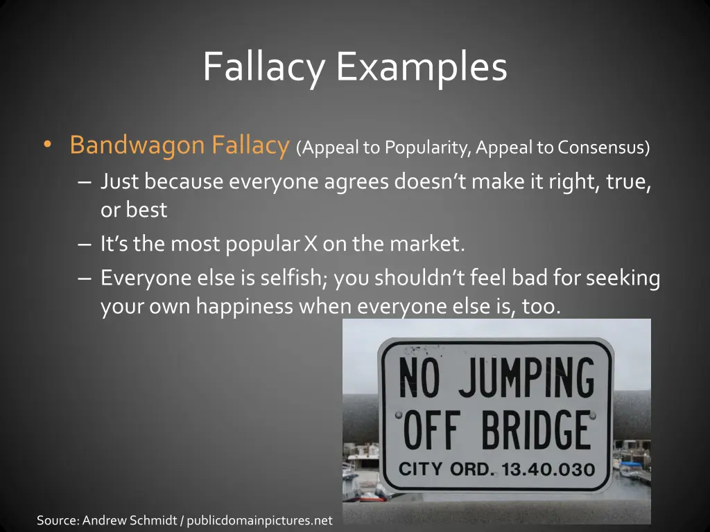 fallacy examples 3