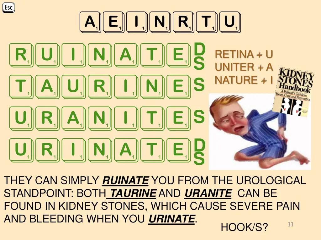 aeinrtu ruinate taurine uranite urinate