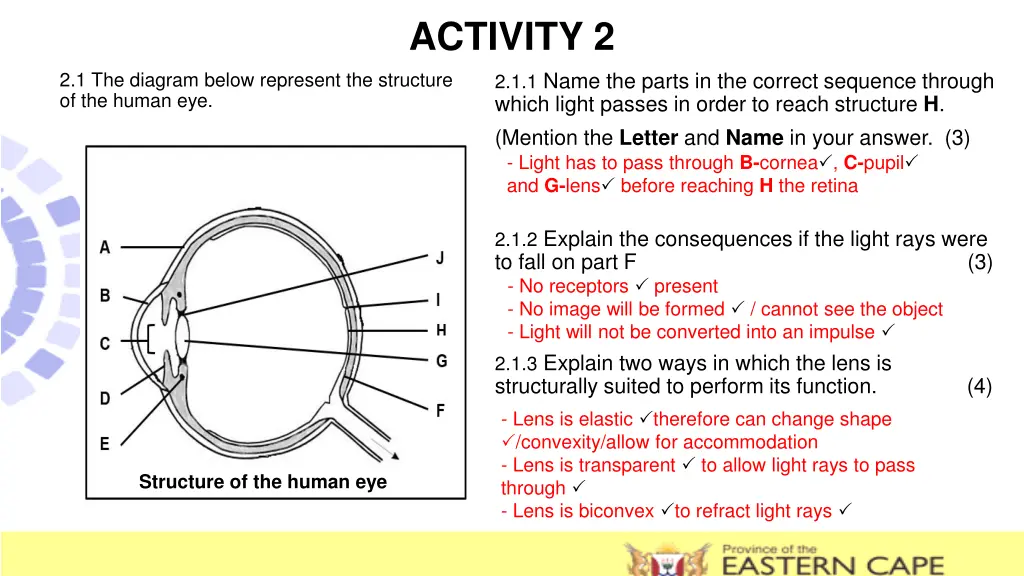 activity 2 2 1 1 name the parts in the correct