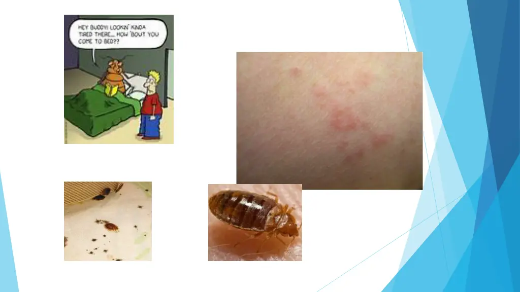 slide17