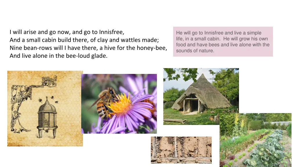 i will arise and go now and go to innisfree