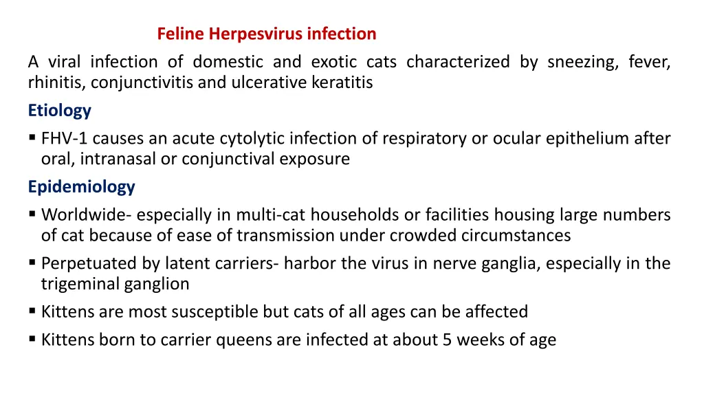 feline herpesvirus infection