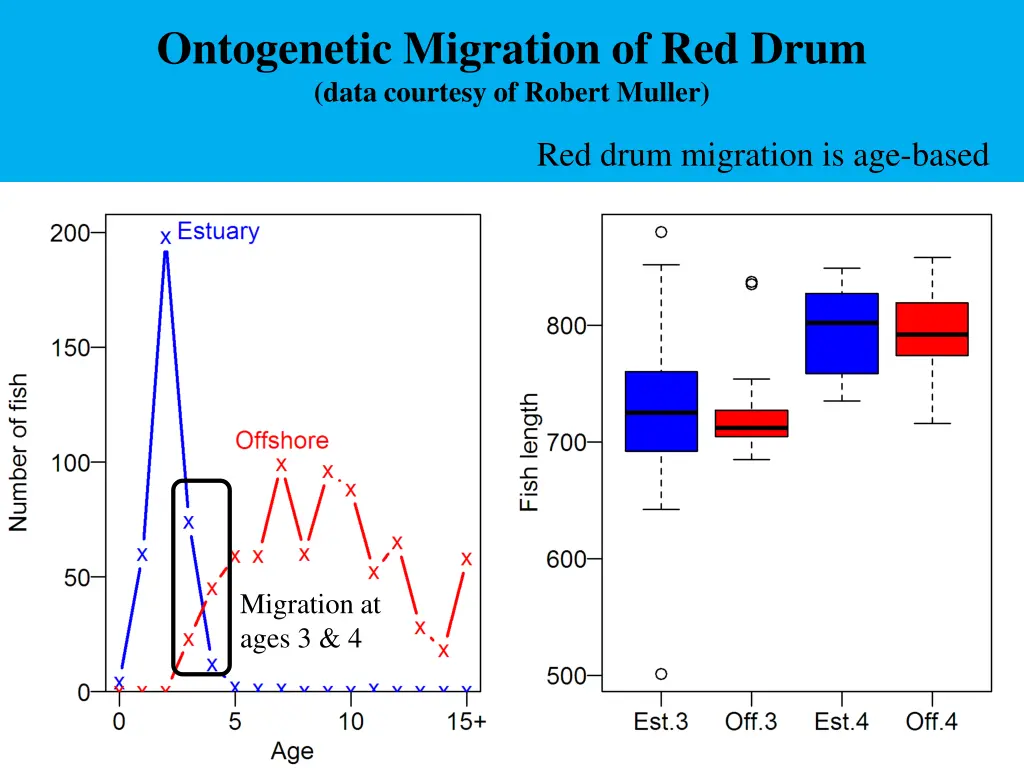 ontogenetic migration of red drum data courtesy