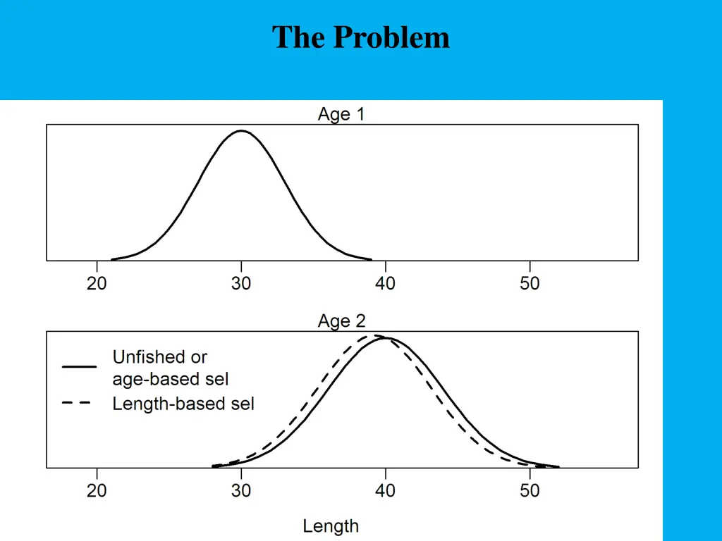 the problem