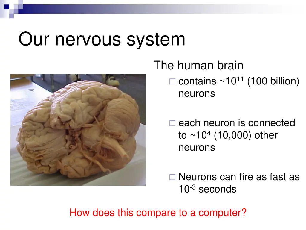 our nervous system 1