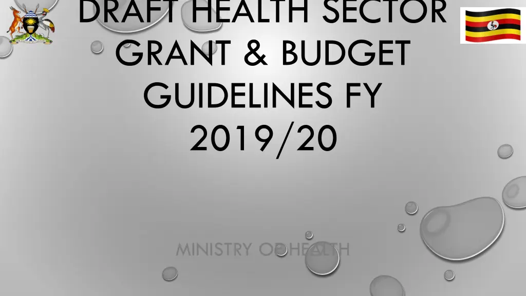 draft health sector grant budget guidelines