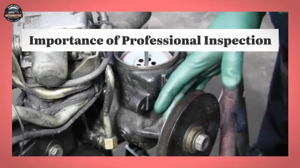 importance of professional inspection