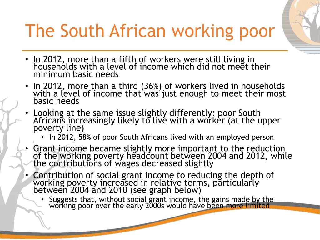 the south african working poor