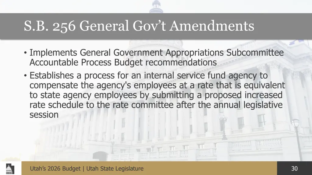 s b 256 general gov t amendments