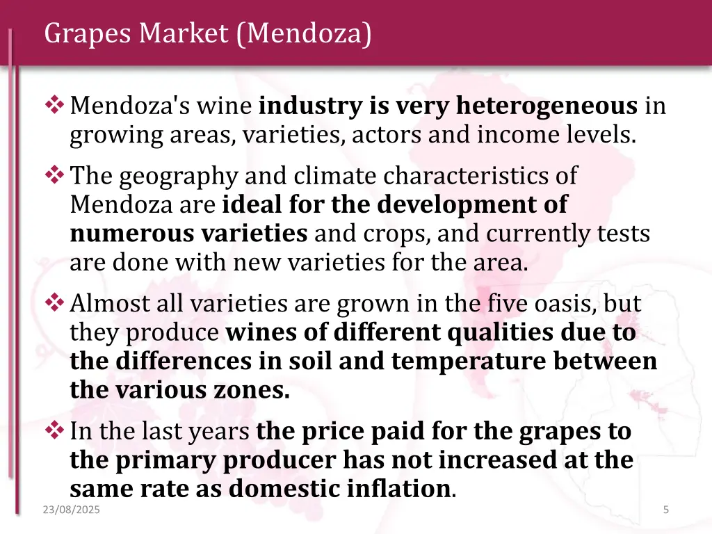 grapes market mendoza