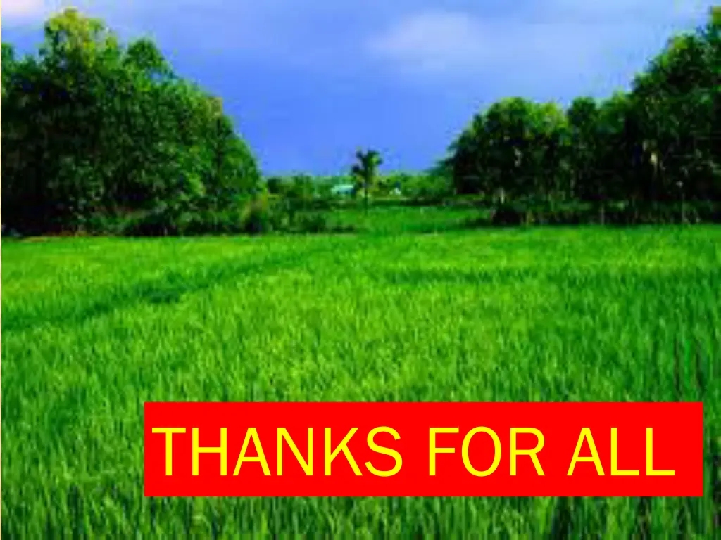 thanks for all