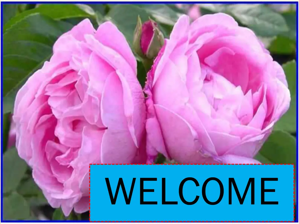 welcome