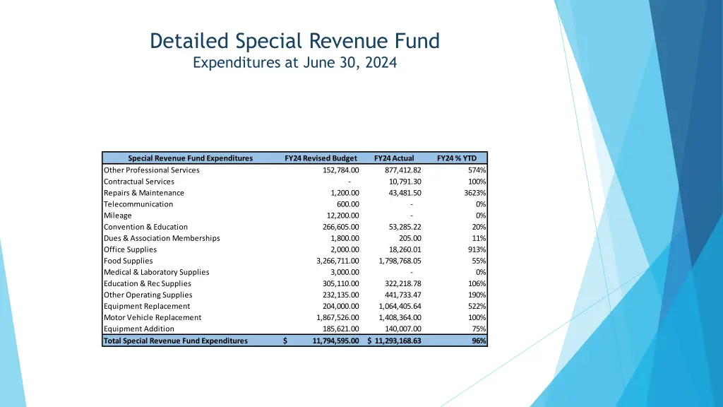 detailed special revenue fund expenditures 1