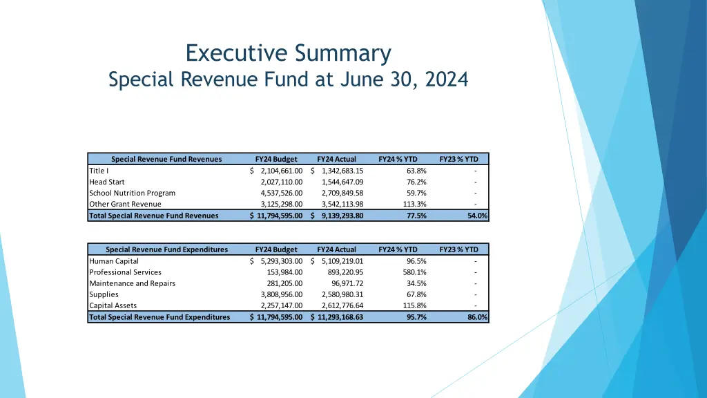 executive summary special revenue fund at june