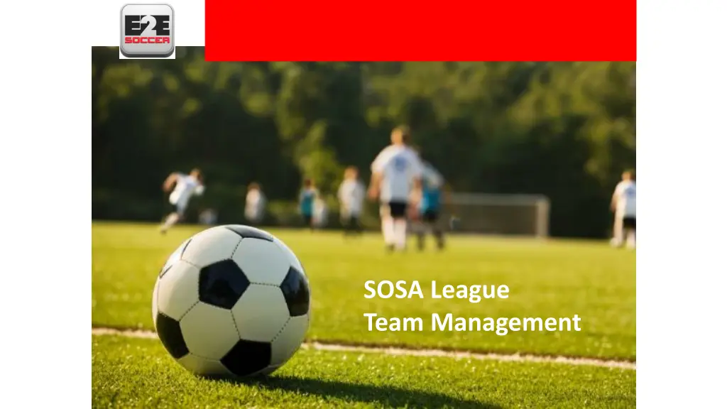 sosa league team management