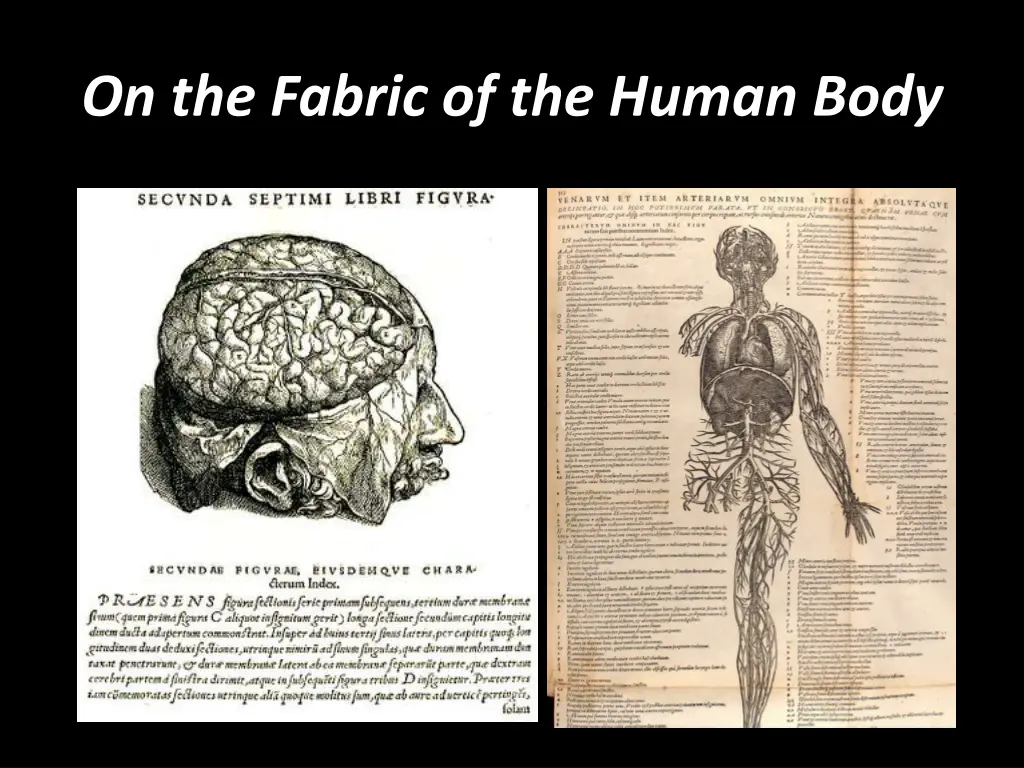 on the fabric of the human body
