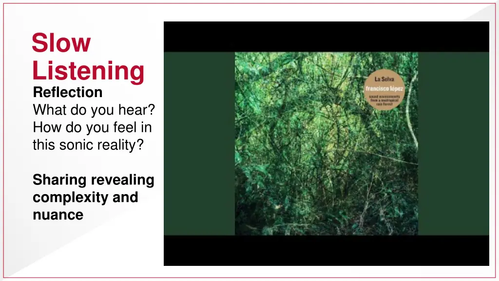 la selva sound environments from a neotropical