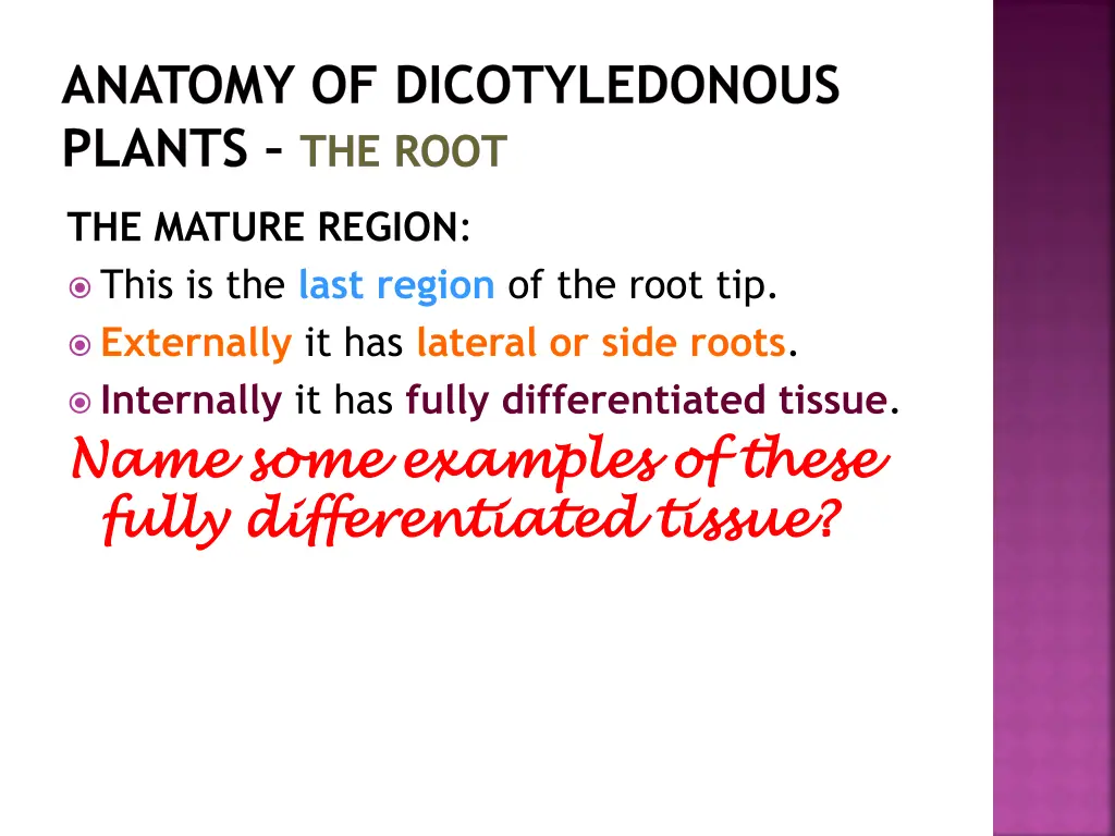 anatomy of dicotyledonous plants the root 10