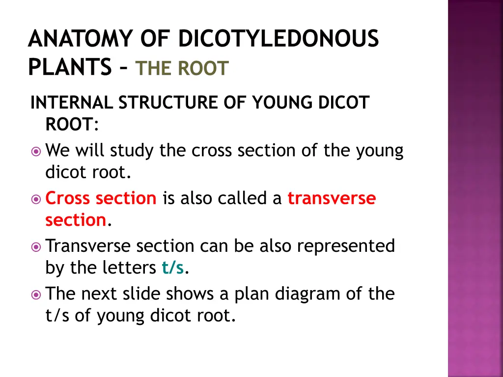 anatomy of dicotyledonous plants the root 11