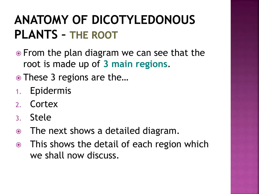 anatomy of dicotyledonous plants the root 13