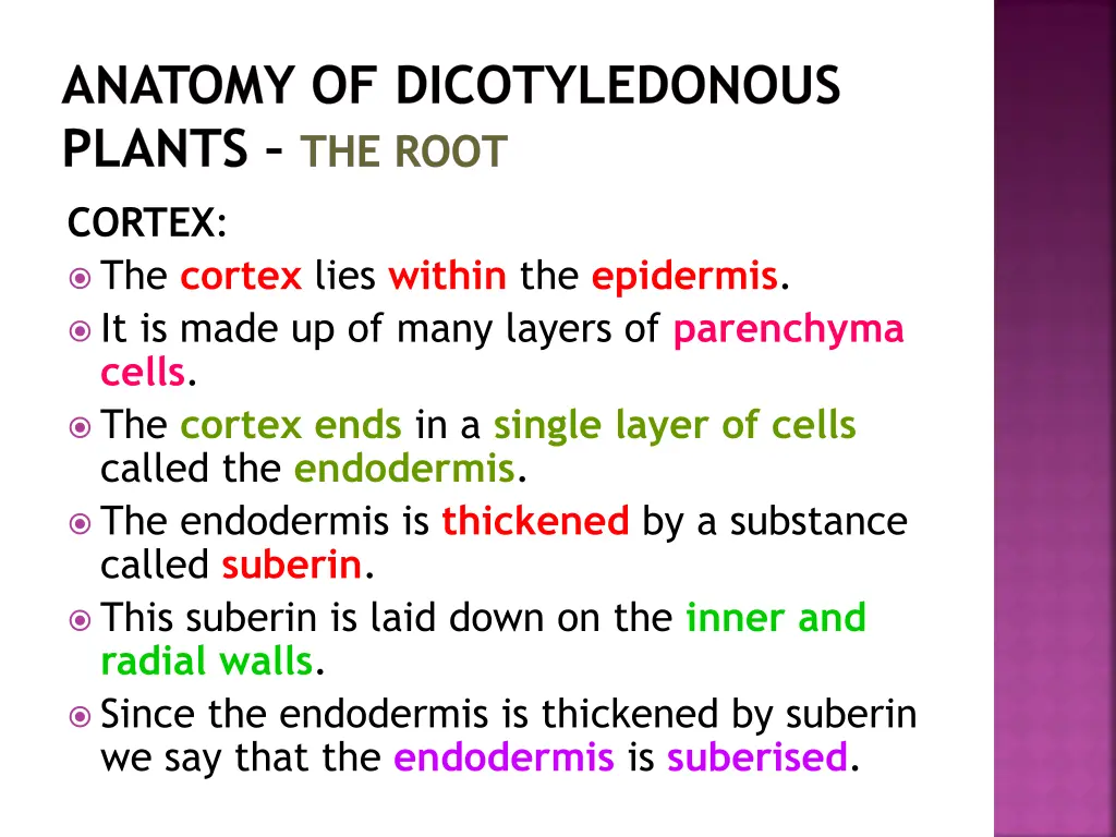 anatomy of dicotyledonous plants the root 18