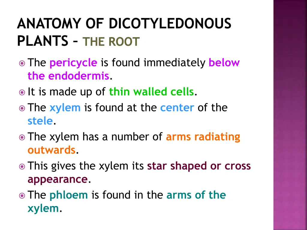 anatomy of dicotyledonous plants the root 21