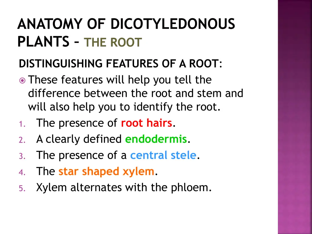 anatomy of dicotyledonous plants the root 23