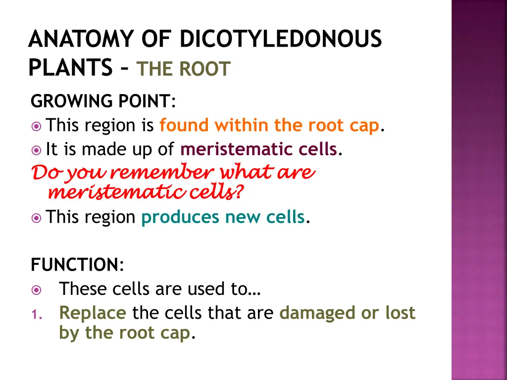 anatomy of dicotyledonous plants the root 7