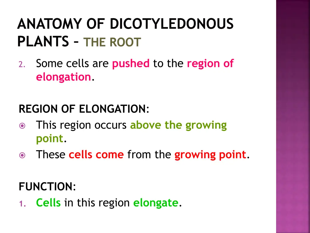 anatomy of dicotyledonous plants the root 8
