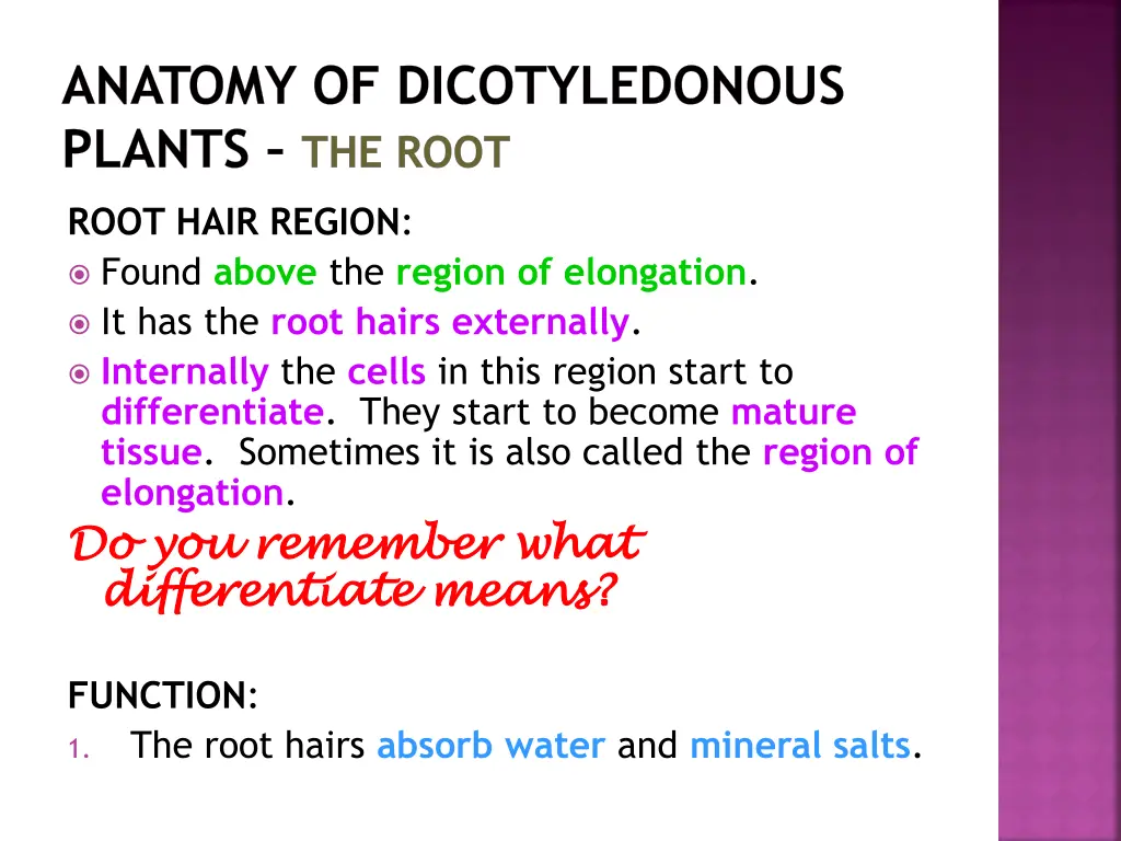 anatomy of dicotyledonous plants the root 9