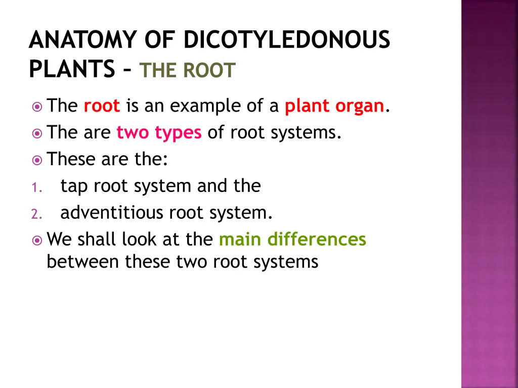 anatomy of dicotyledonous plants the root