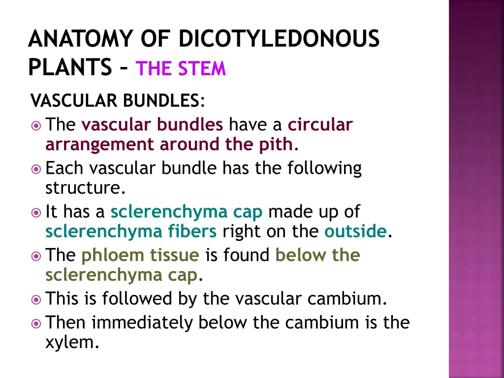 anatomy of dicotyledonous plants the stem 11