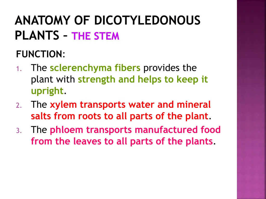 anatomy of dicotyledonous plants the stem 12