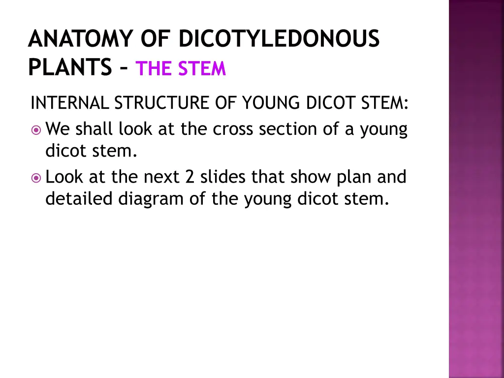 anatomy of dicotyledonous plants the stem 2