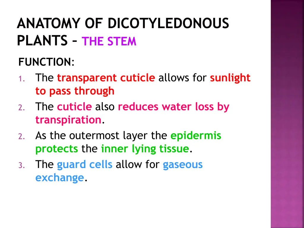 anatomy of dicotyledonous plants the stem 6