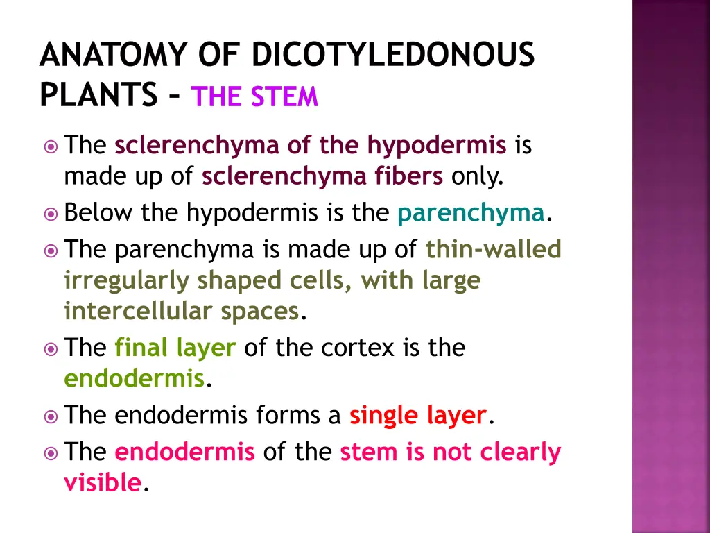 anatomy of dicotyledonous plants the stem 9