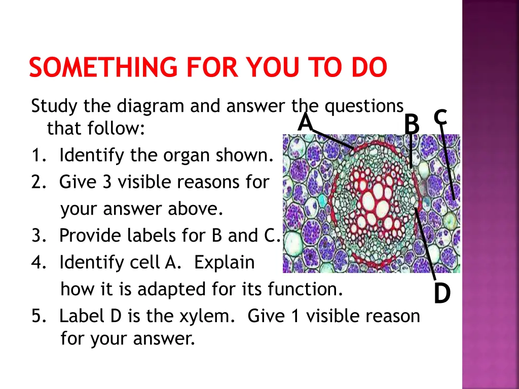 something for you to do 1