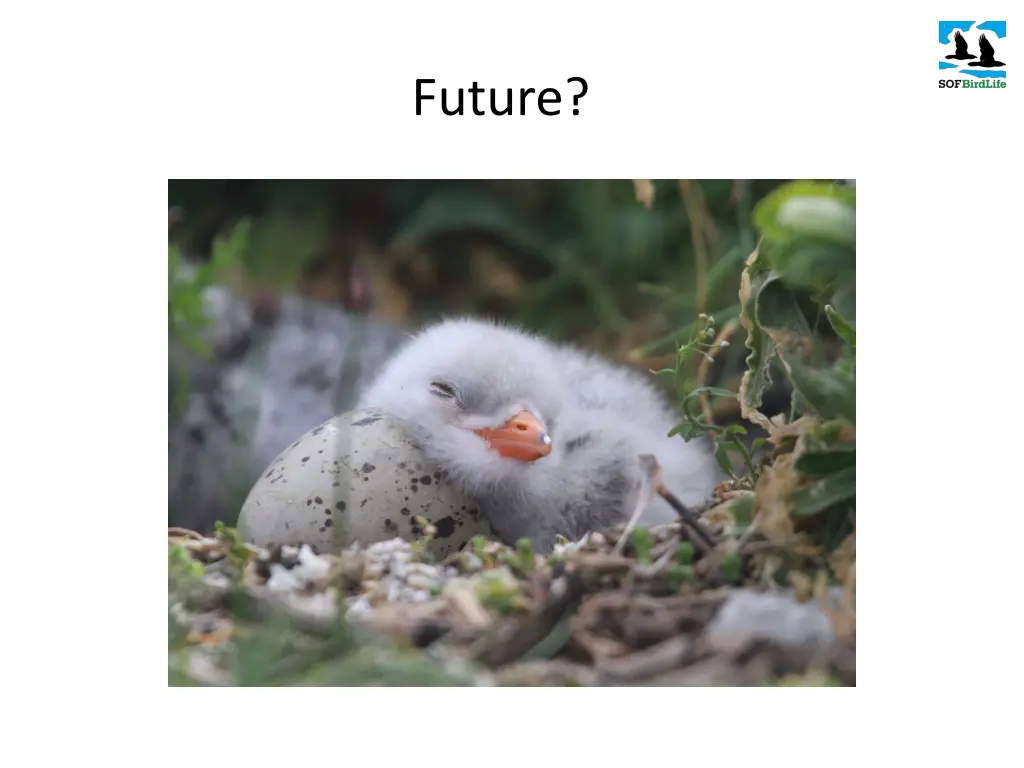 future