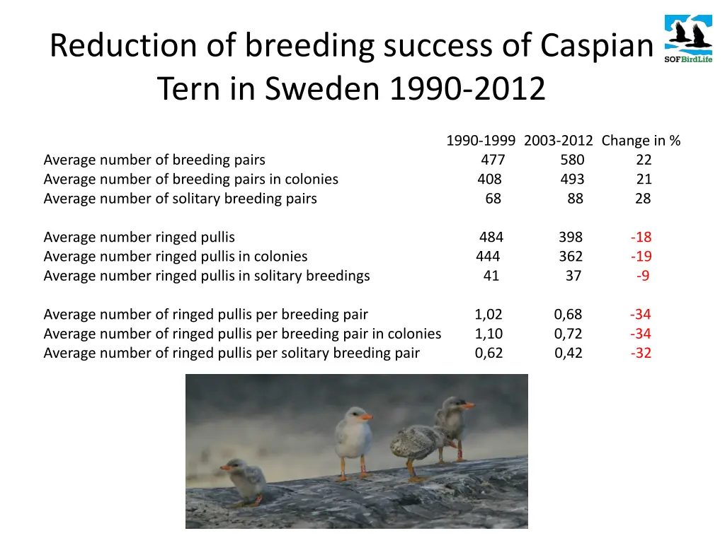 reduction of breeding success of caspian tern