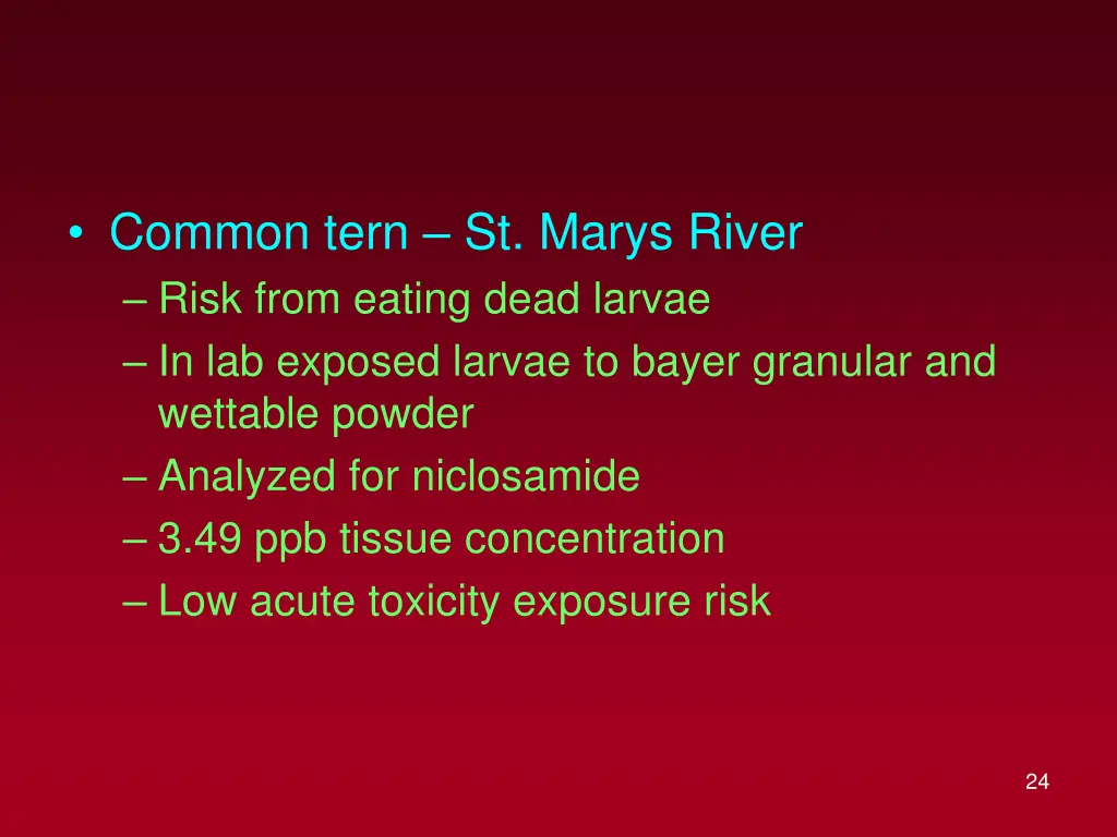 common tern st marys river risk from eating dead