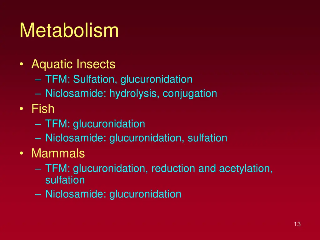 metabolism 1
