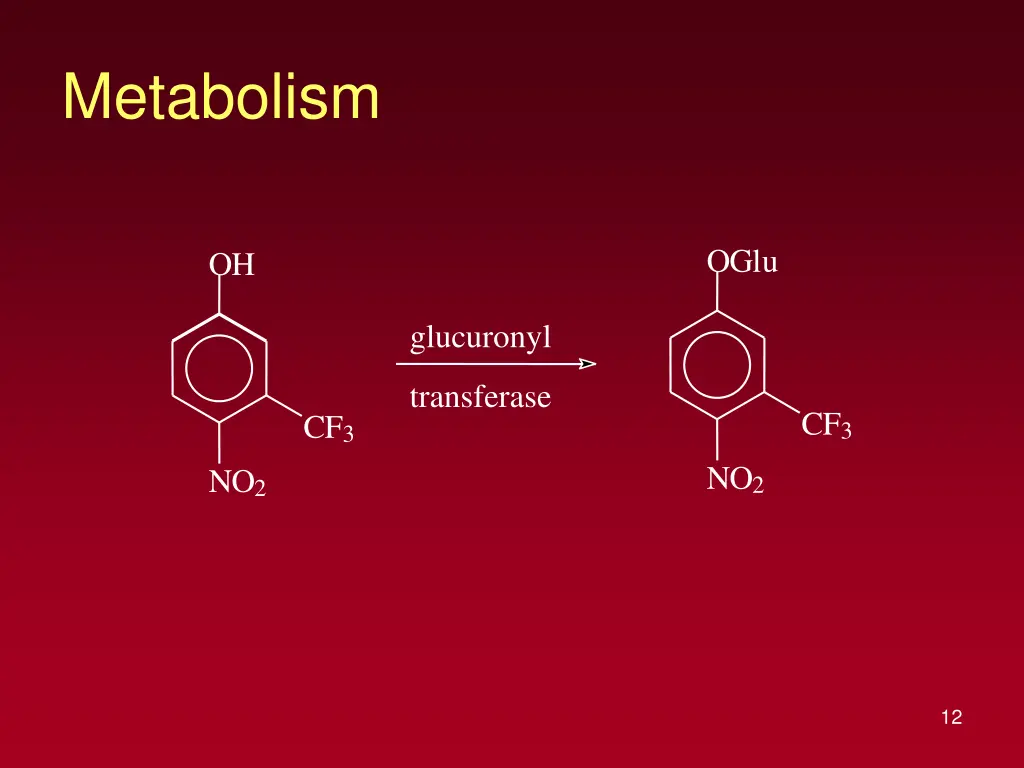 metabolism