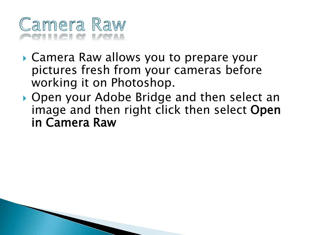 camera raw allows you to prepare your pictures