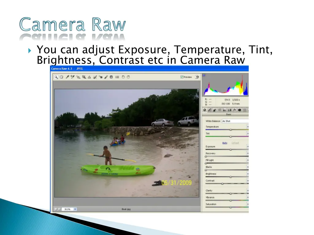 you can adjust exposure temperature tint