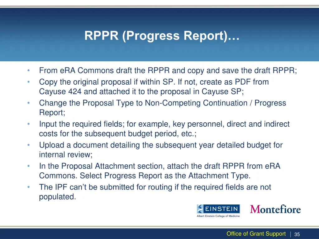 rppr progress report 1