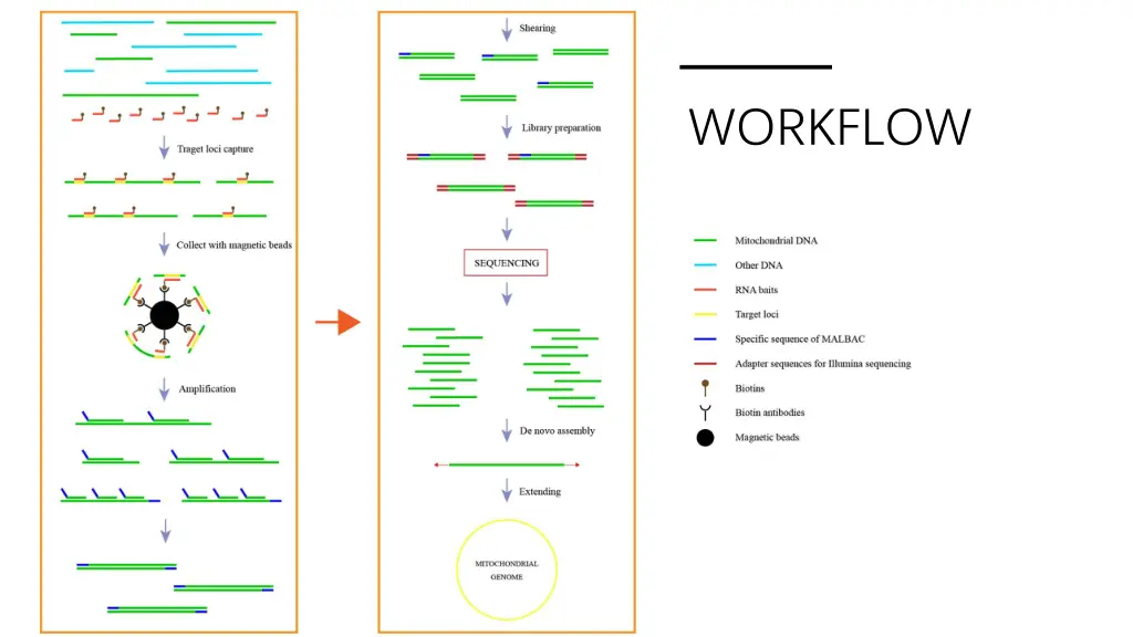 workflow