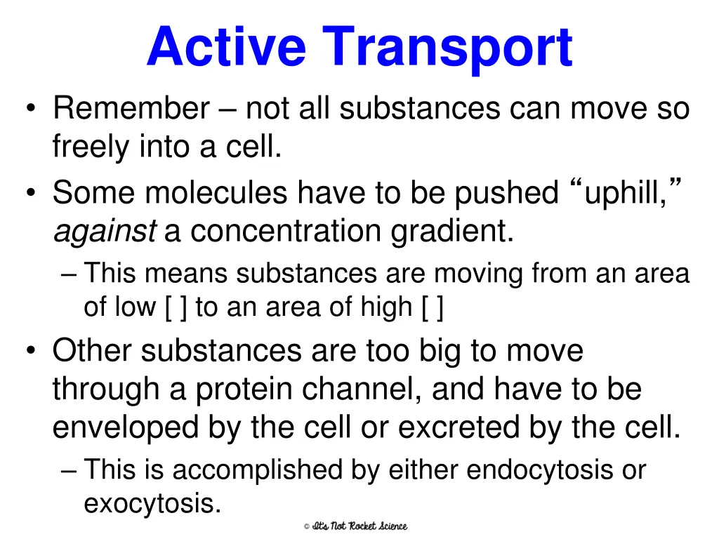 active transport