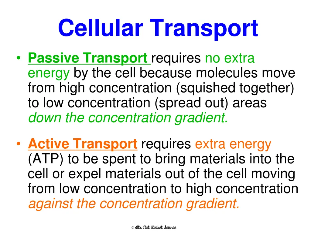 cellular transport